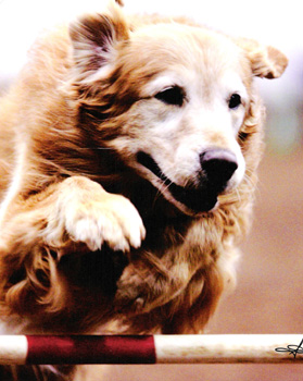 SmallPicture of Micah
