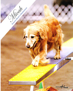 SmallPicture of Micah