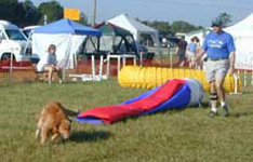 SmallPicture of Micah on day 3 GRCA