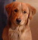 Picture of Mic at 13 months