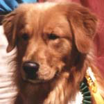 SmallPicture of Mic