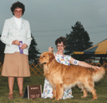 SmallPicture of Micah's Sire 