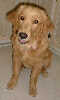 SmallPicture of Mic 10 months