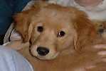 Small Picture of Mic