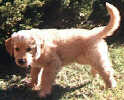 SmallPicture of Mic 