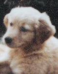 SmallPicture of Mic