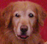 Picture of Micah