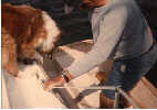 Small Picture of  Heather