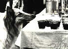 Small Picture of  Heather