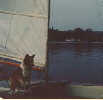 Small Picture of  Heather
