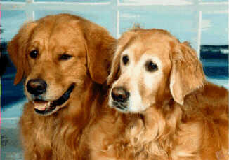 Picture of Jade and Rhett