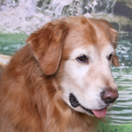 SmallPicture of Mic