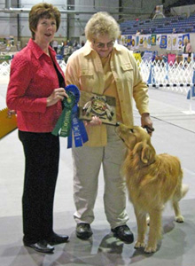 SmallPicture of limey earning 1st UD leg