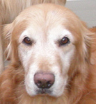 SmallPicture of Mic