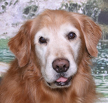 SmallPicture of Mic