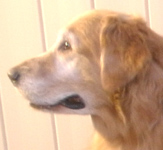 SmallPicture of Mic