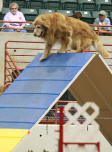 SmallPicture of Micah earning MXP leg
