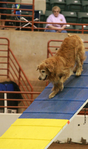 SmallPicture of Micah earning MXP leg