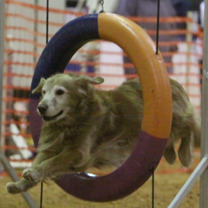 SmallPicture of mic earning 2nd leg