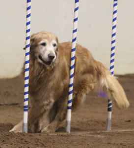 SmallPicture of Micah in JWW