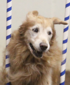 SmallPicture of Micah in JWW
