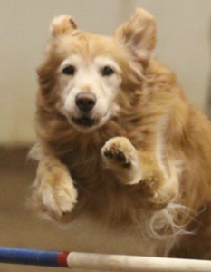 SmallPicture of Micah in JWW