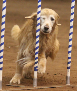 SmallPicture of Micah in JWW