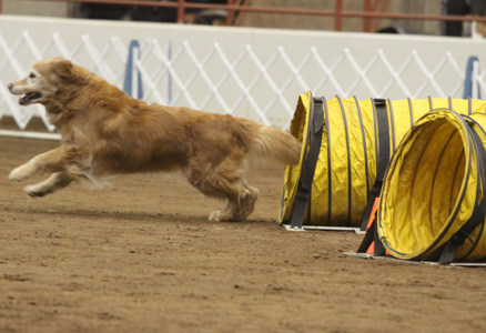 SmallPicture of Micah earning MX leg
