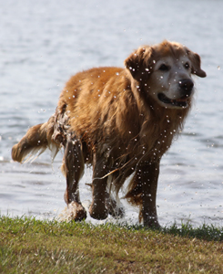 SmallPicture of  Micah