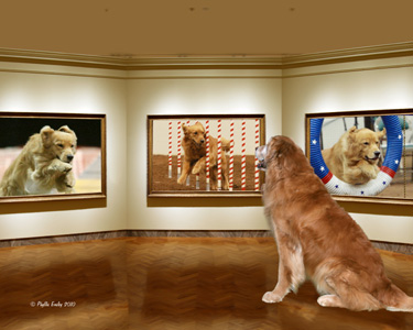 Gallery Picture of Micah and his pups