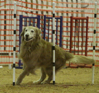 SmallPicture of mic earning 1st leg