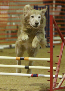 SmallPicture of mic earning 3rd leg