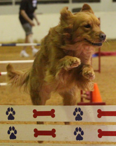 SmallPicture of Tryssie earning AX leg