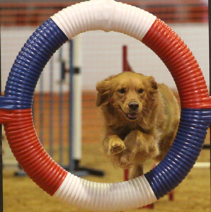 SmallPicture of Tryssie earning AX leg