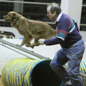SmallPicture of Tryssie earning OA leg