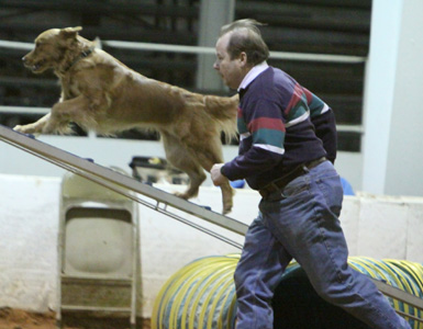 SmallPicture of Tryssie earning OA leg