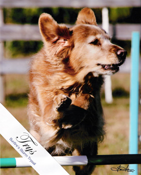 SmallPicture of  Trys