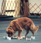 SmallPicture of  Trys