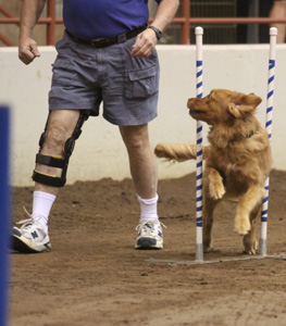 SmallPicture of Tryssie earning mxj leg