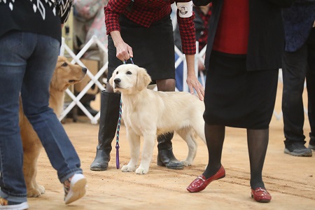 SmallPicture of Rhys