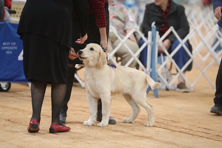 SmallPicture of Rhys