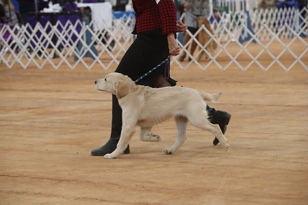 SmallPicture of Rhys