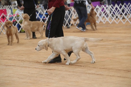 SmallPicture of Rhys