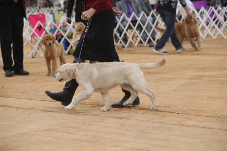 SmallPicture of Rhys