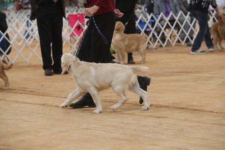 SmallPicture of Rhys