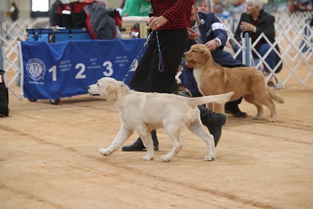 SmallPicture of Rhys