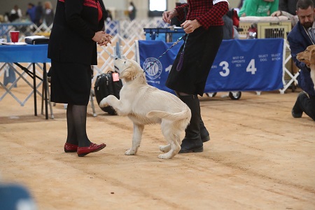 SmallPicture of Rhys