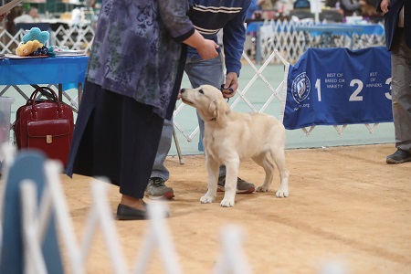 SmallPicture of Rhys