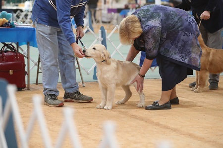 SmallPicture of Rhys