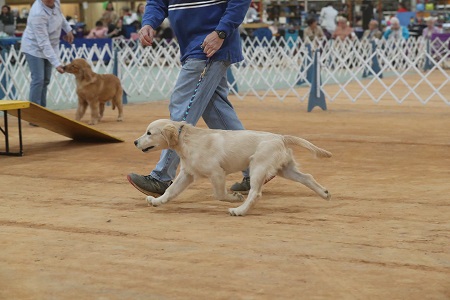 SmallPicture of Rhys